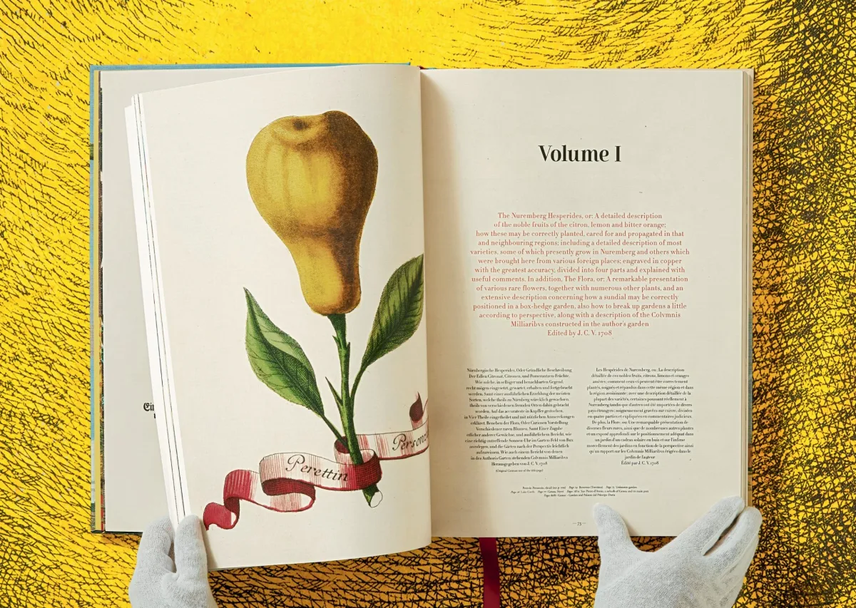 TASCHEN J. C. Volkamer. The Book of Citrus Fruits Osterangebot