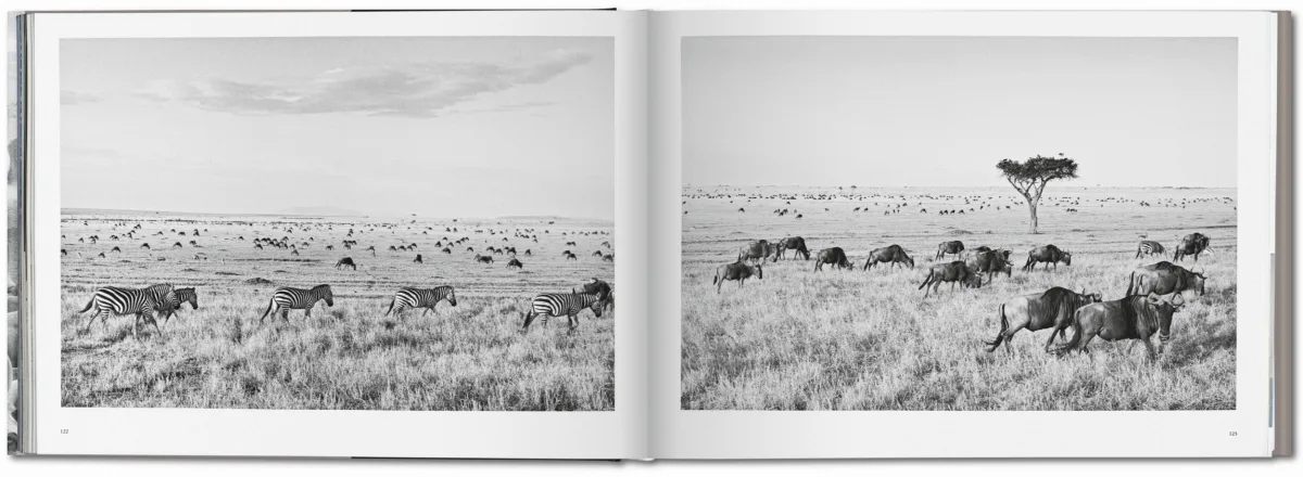 TASCHEN Sebastião Salgado. Africa Lagerräumung