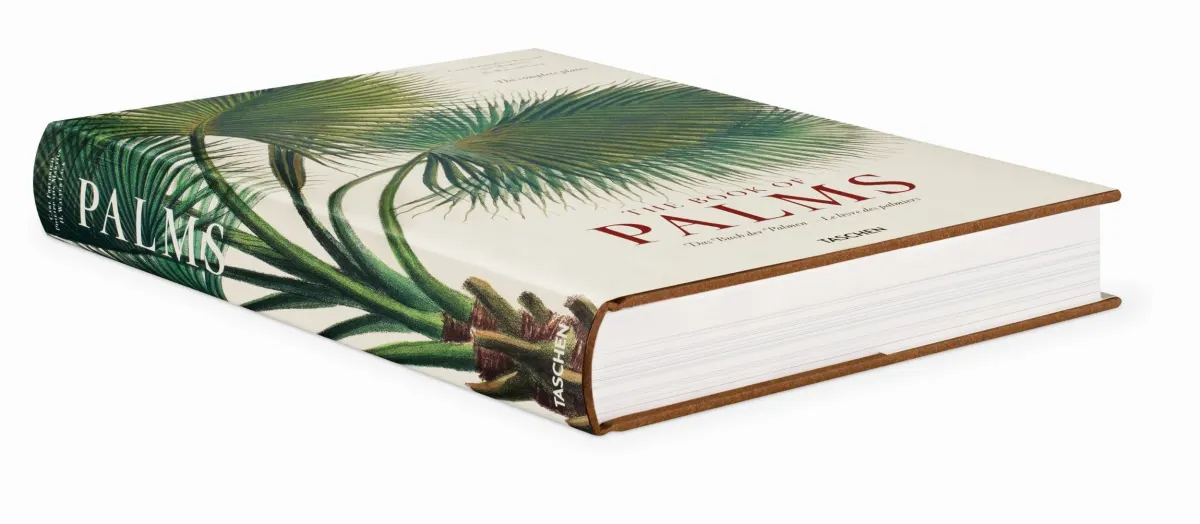 TASCHEN Martius. The Book of Palms Zeitlich begrenztes Angebot