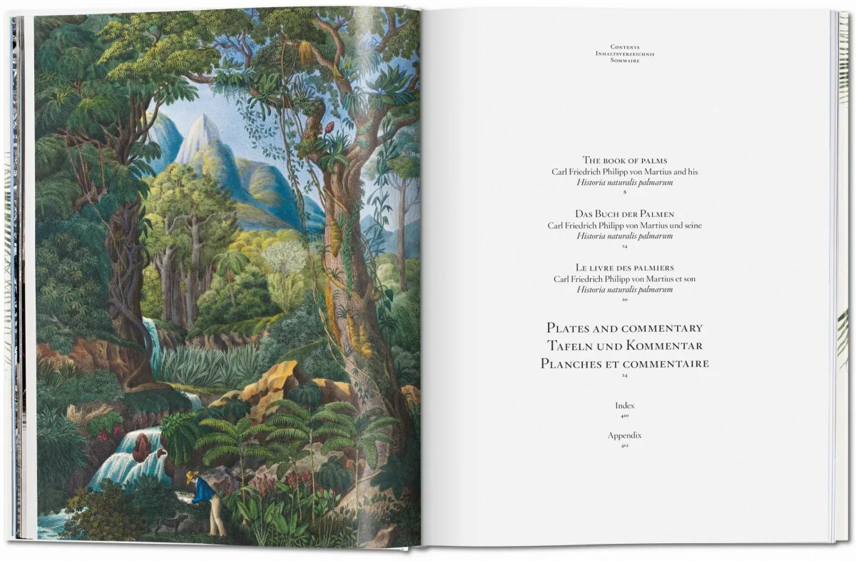 TASCHEN Martius. The Book of Palms Zeitlich begrenztes Angebot