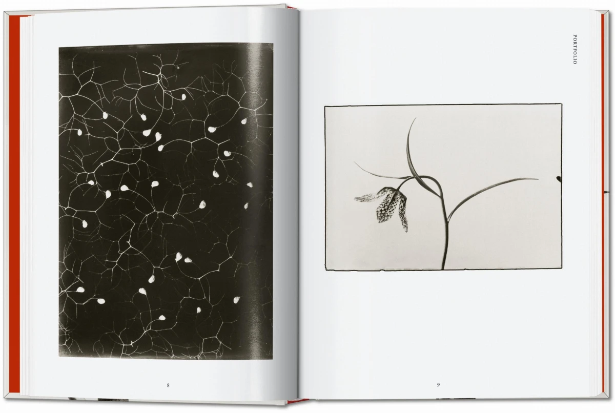 TASCHEN Karl Blossfeldt. The Complete Published Work. 40th Ed Angebote