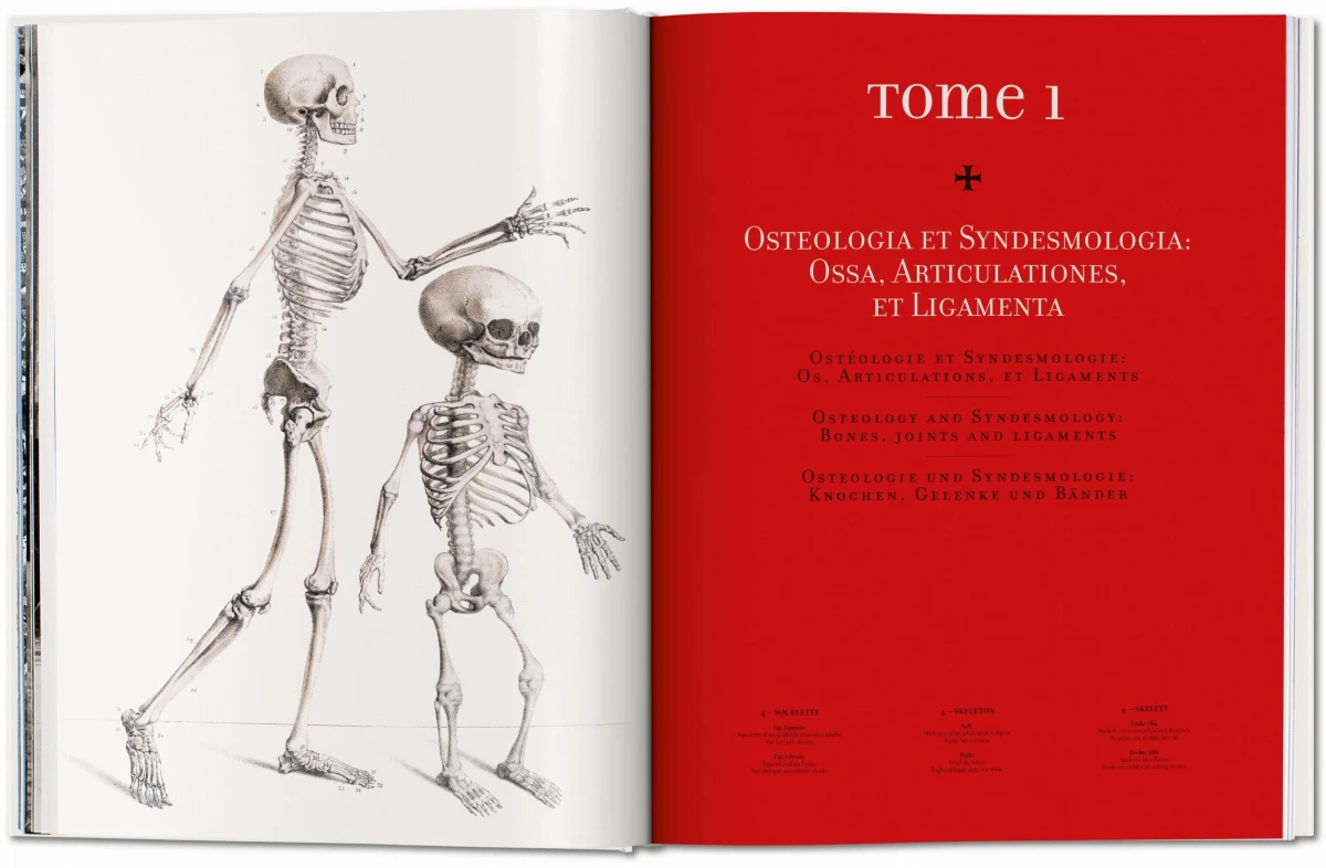 TASCHEN Bourgery. Atlas of Human Anatomy and Surgery Flash Sale