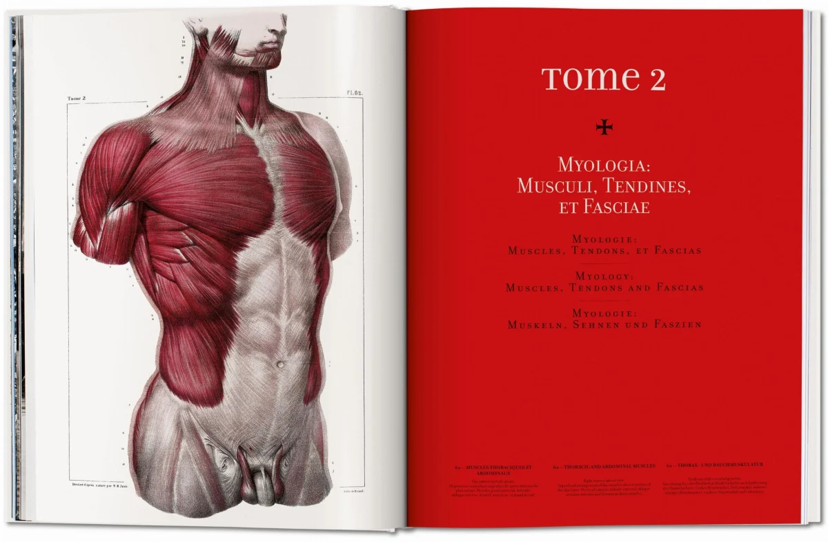 TASCHEN Bourgery. Atlas of Human Anatomy and Surgery Flash Sale