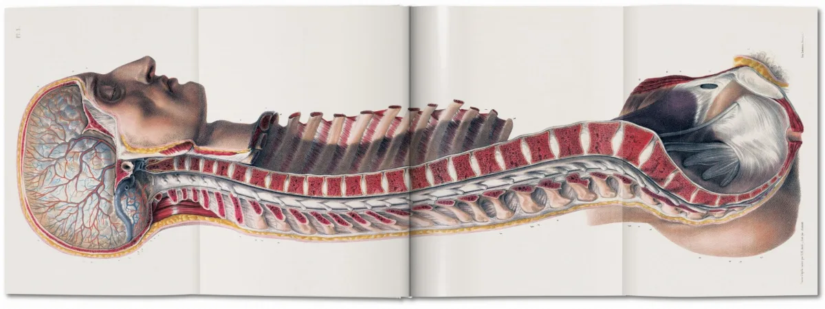 TASCHEN Bourgery. Atlas of Human Anatomy and Surgery Flash Sale