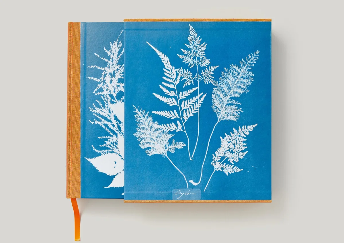 TASCHEN Anna Atkins. Cyanotypes Lagerräumung
