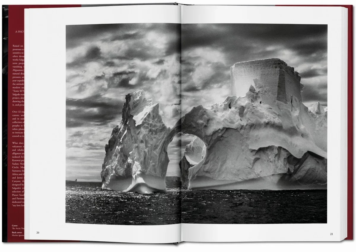 TASCHEN Sebastião Salgado. Genesis Bis zu 50% Rabatt