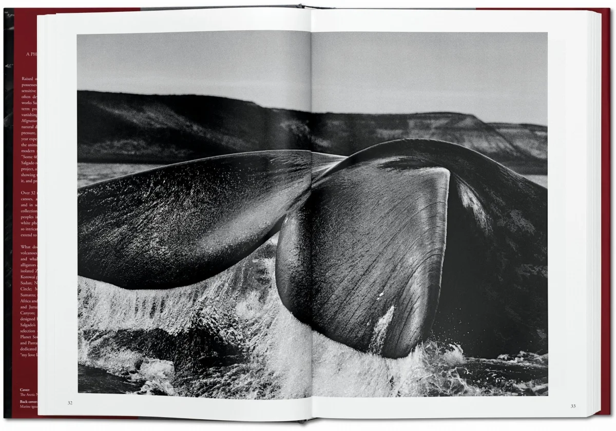 TASCHEN Sebastião Salgado. Genesis Bis zu 50% Rabatt