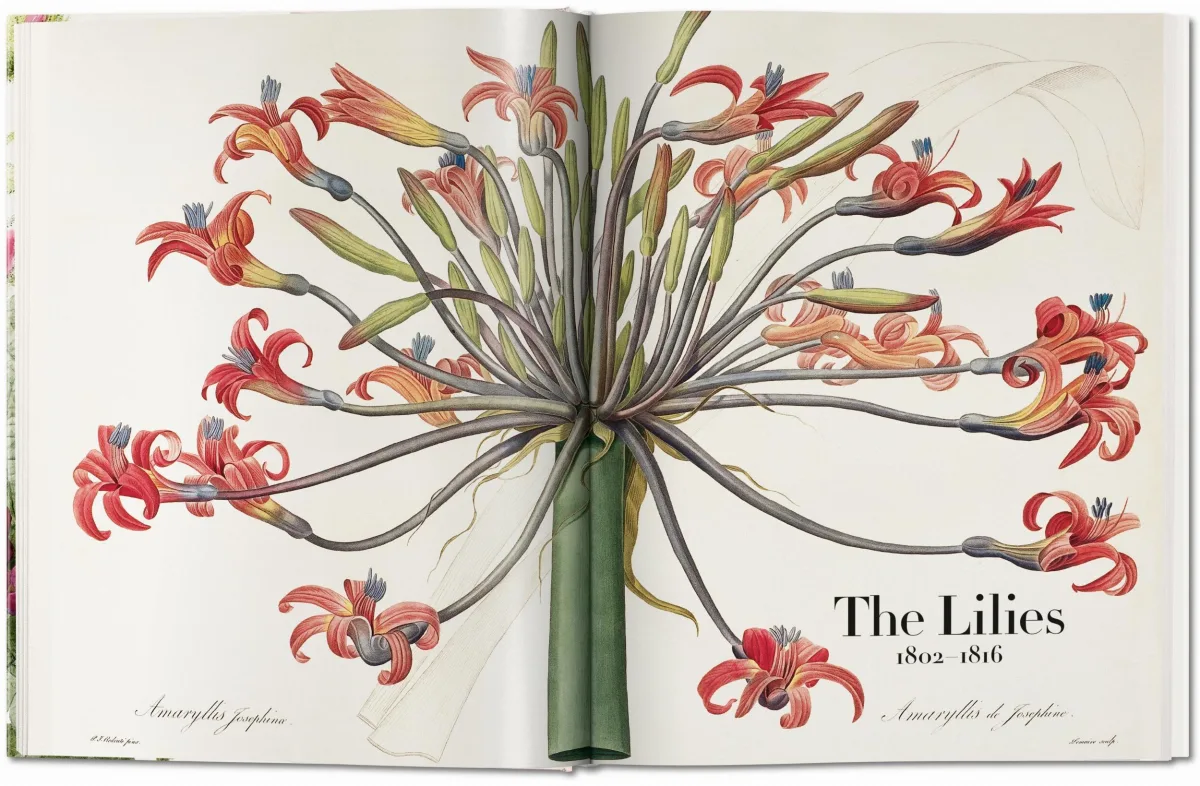 TASCHEN Redouté. The Book of Flowers Bis zu 65% Rabatt
