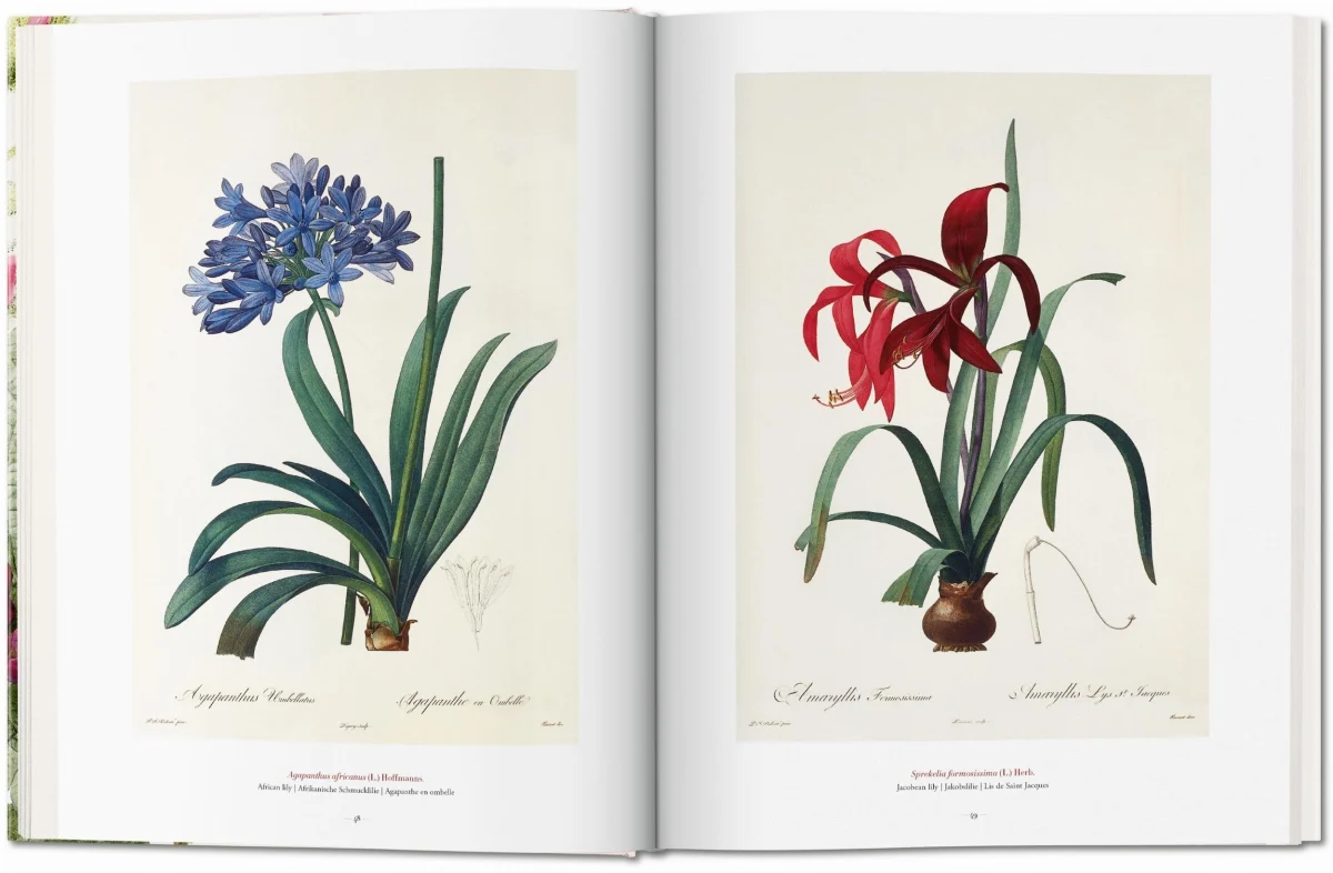 TASCHEN Redouté. The Book of Flowers Bis zu 65% Rabatt
