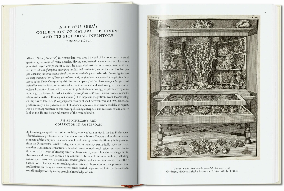 TASCHEN Seba. Cabinet of Natural Curiosities. 40th Ed Kostenloser Versand international