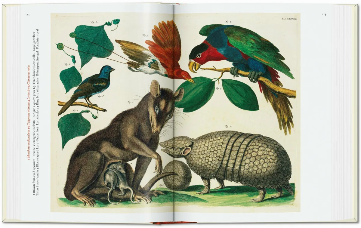 TASCHEN Seba. Cabinet of Natural Curiosities. 40th Ed Kostenloser Versand international