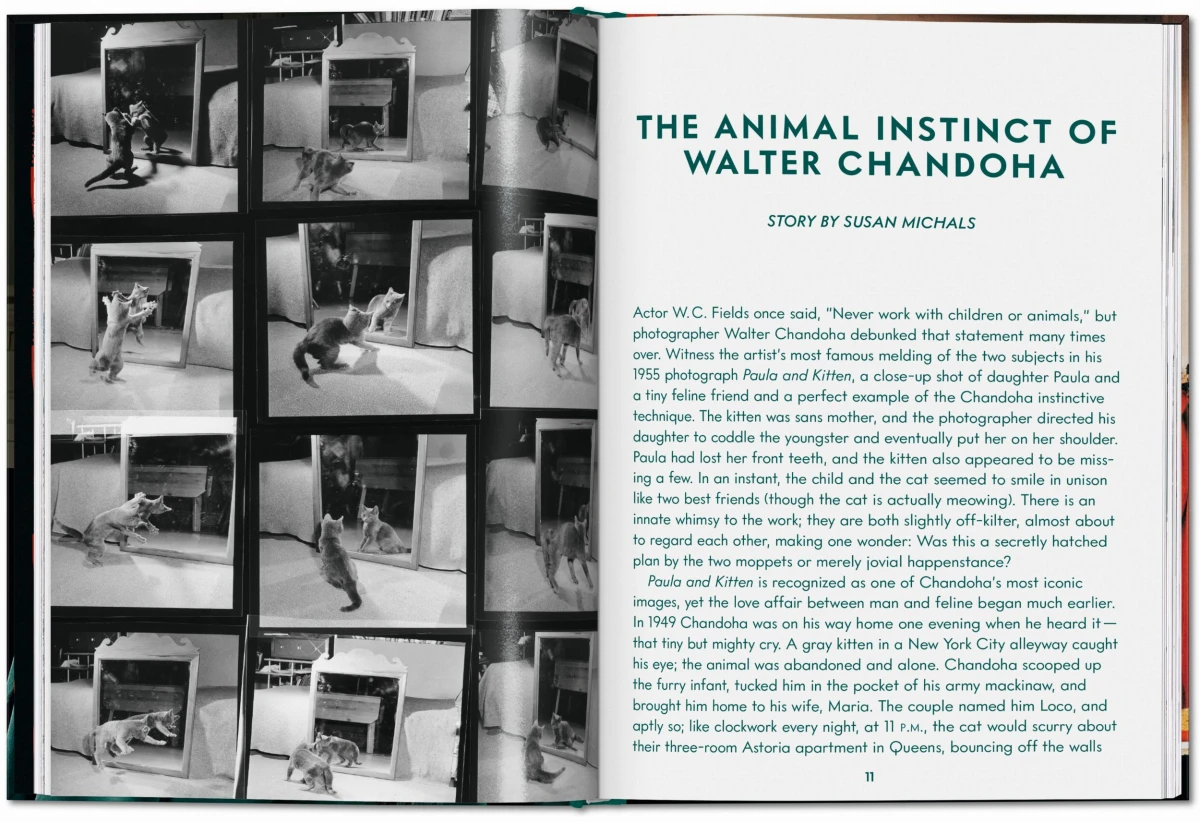 TASCHEN Walter Chandoha. Cats. Photographs 1942–2018 Großer Ausverkauf