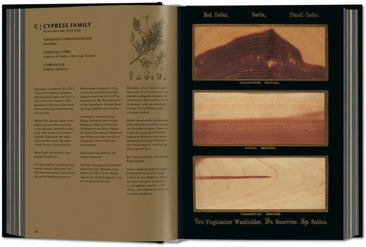 TASCHEN Romeyn B. Hough. The Woodbook. The Complete Plates Zeitlich begrenztes Angebot