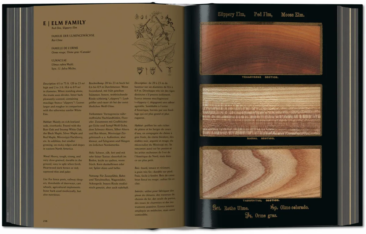 TASCHEN Romeyn B. Hough. The Woodbook. The Complete Plates Zeitlich begrenztes Angebot