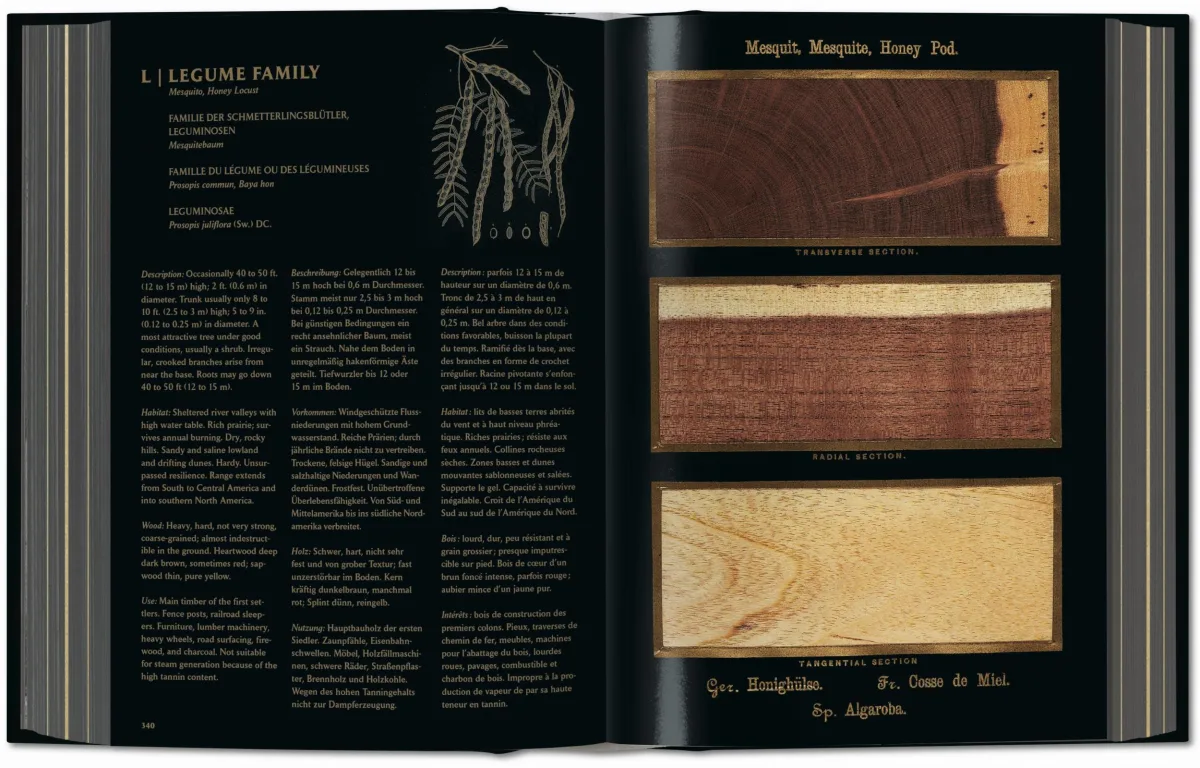 TASCHEN Romeyn B. Hough. The Woodbook. The Complete Plates Zeitlich begrenztes Angebot