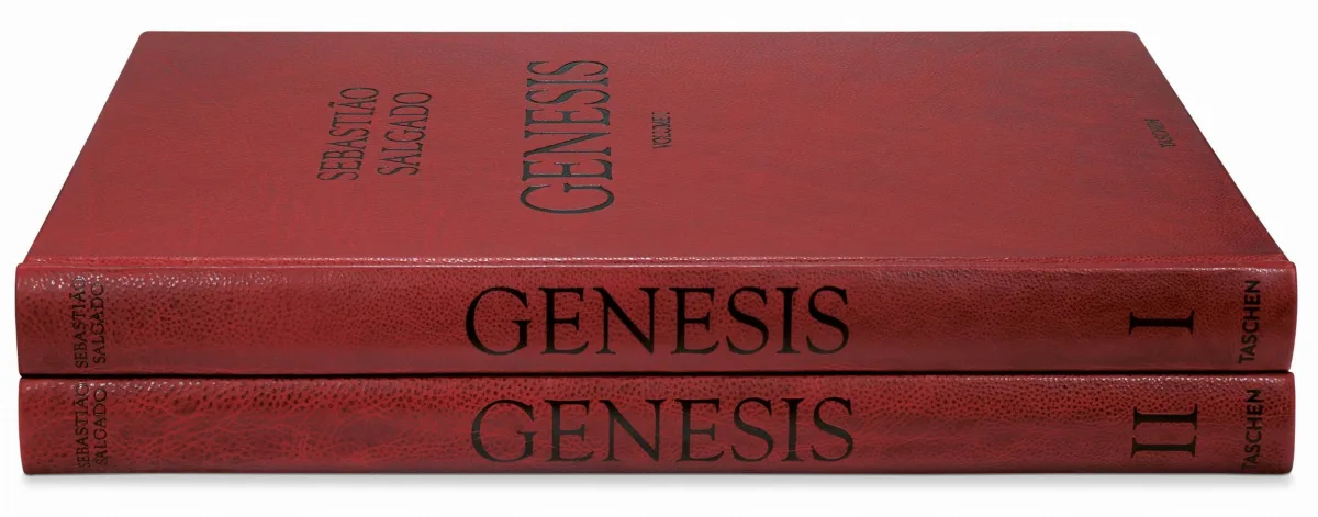 TASCHEN Sebastião Salgado. Genesis. Art Edition No. 201–300 ‘Black-Browed Albatrosses, Falkland Islands’ Saisonschlussverkauf