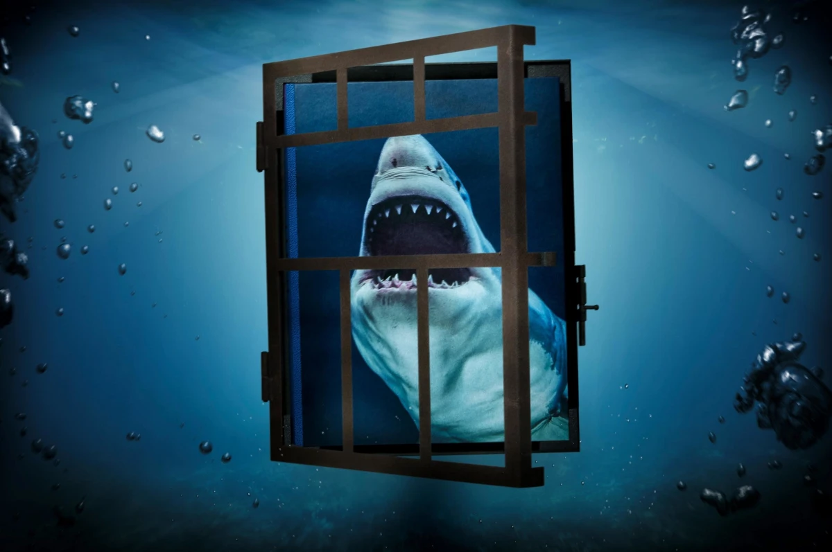 TASCHEN Michael Muller. Sharks Vatertagsangebot