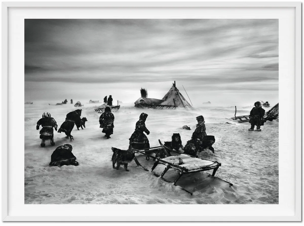 TASCHEN Sebastião Salgado. Genesis. Art Edition No. 101–200 ‘North of the Ob River, Yamal Peninsula, Siberia, Russia’ Online Outlet