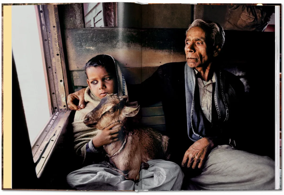 TASCHEN Steve McCurry. Animals Nur für heute
