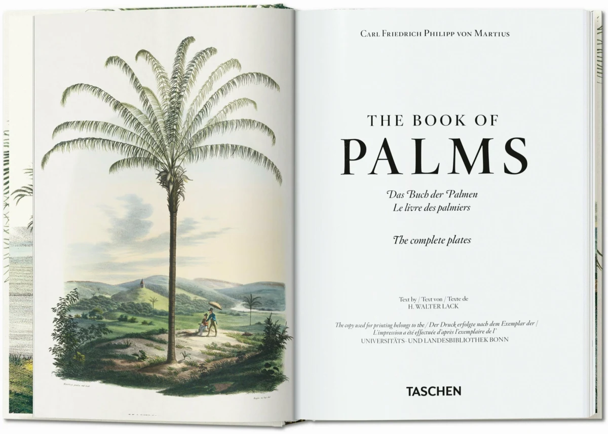 TASCHEN Martius. The Book of Palms. 40th Ed Super Rabatt