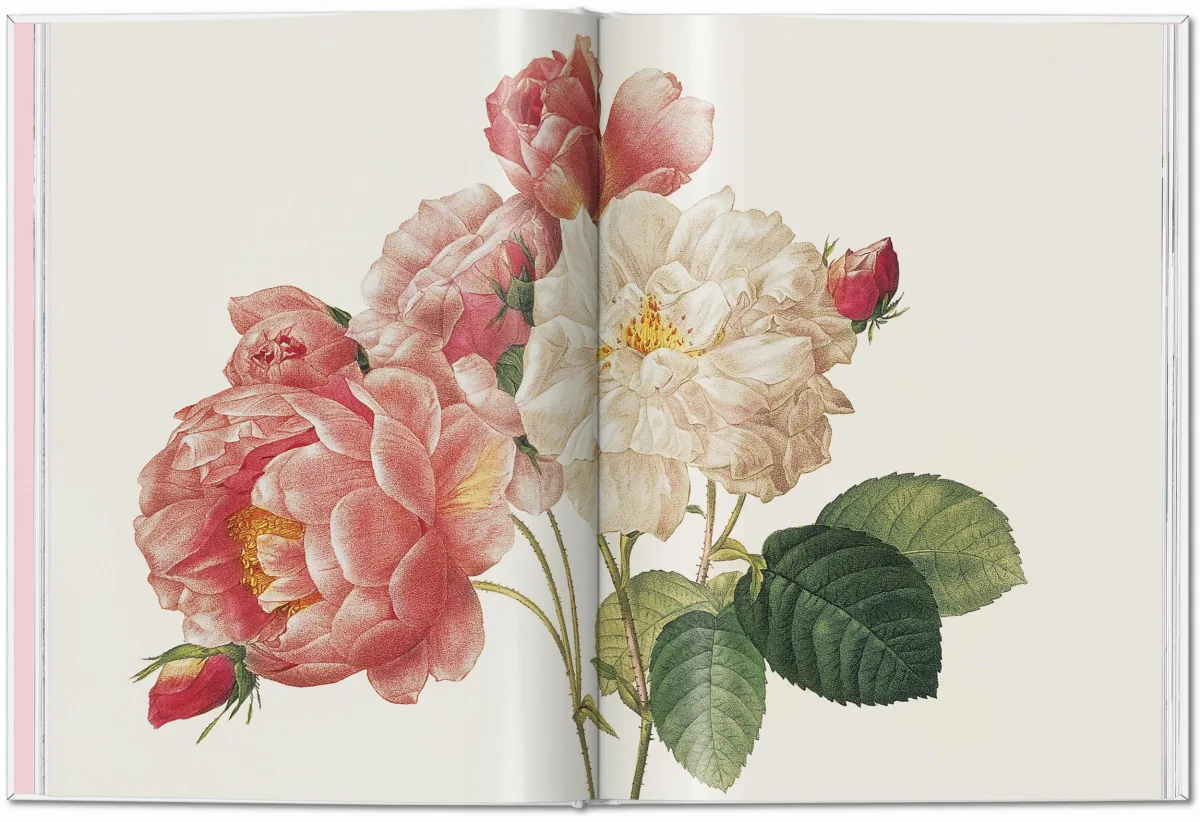 TASCHEN Redouté. Roses Angebote