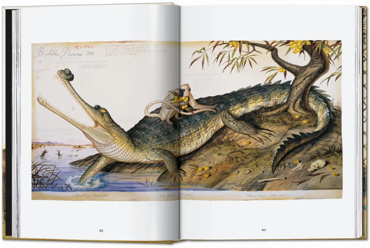 TASCHEN Walton Ford. 40th Ed Sonderangebot