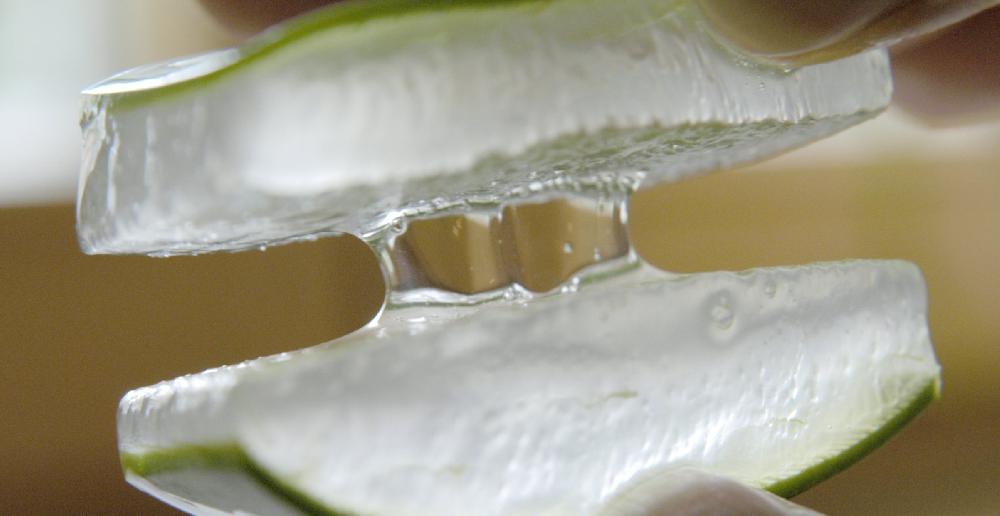Pharmos Natur Aloe Vera BioUrsaft Kurpackung Nur für heute