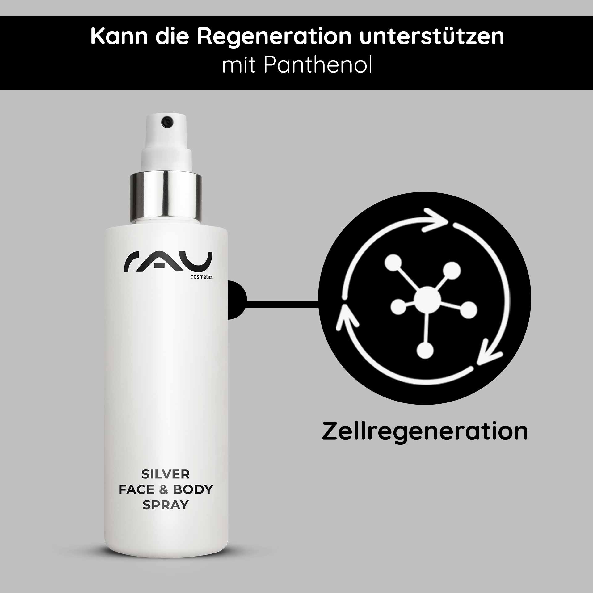 Rau Cosmetics Silver Face & Body Spray 200 ml mit Panthenol & Microsilber Fabrikladen