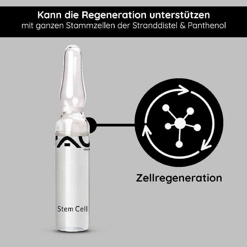 Rau Cosmetics Stem Cell Ampullen 10x2 ml Anti Aging für reife Haut Online Outlet