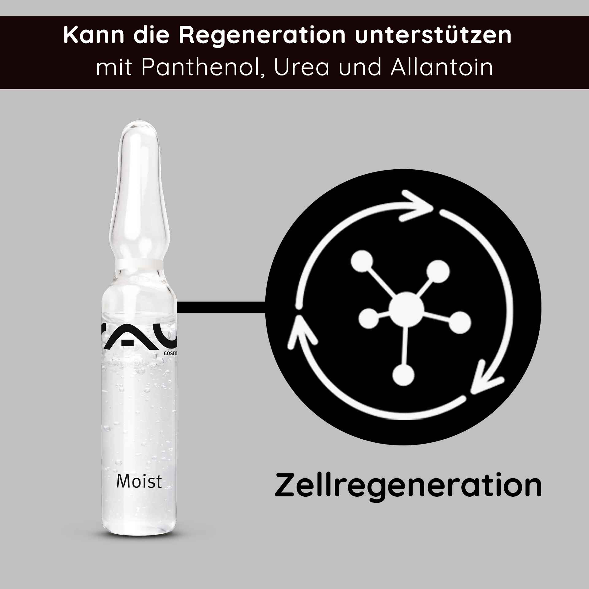 Rau Cosmetics Moist Ampullen 10x2 ml mit Hydrolite & Hyaluron zollfrei